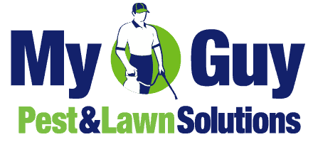 My Guy Pest and Lawn Solutions