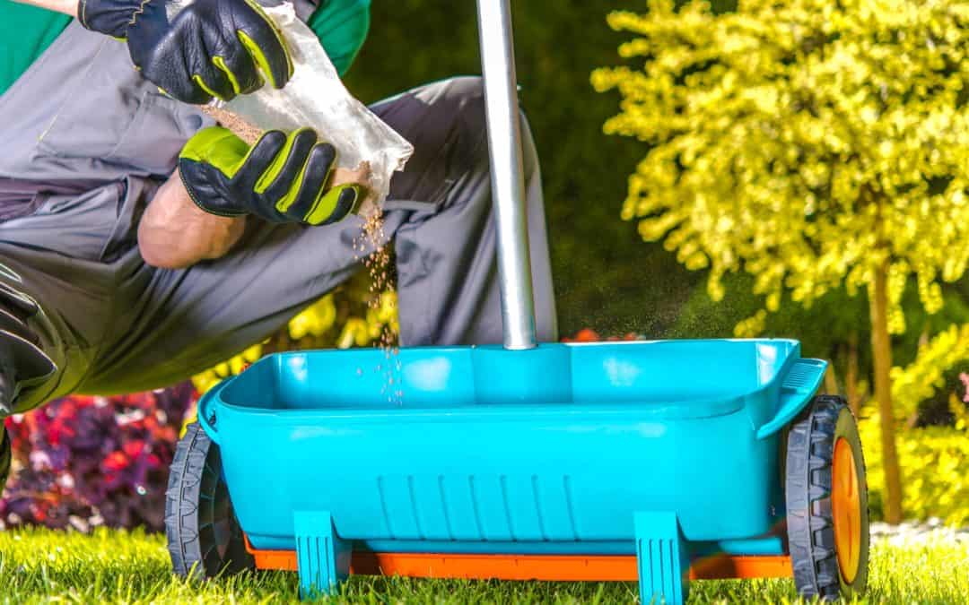 How to Properly Fertilize Your Lawn