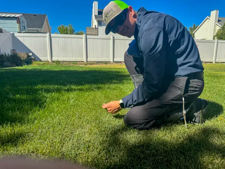 MyGuy-Pest&Lawn26--27